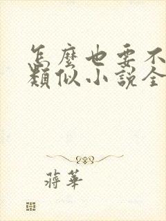 怎么也要不够她类似小说全文免费