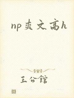 np爽文高h