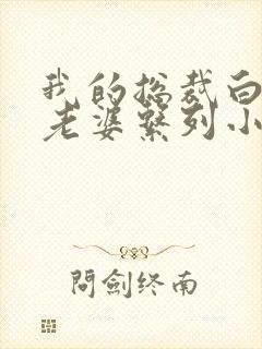 我的总裁白富美老婆系列小说