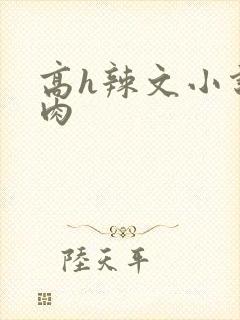 高h辣文小说纯肉封面