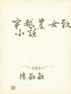 穿越农女致富记 小说封面