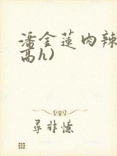 潘金莲肉辣文(高h)