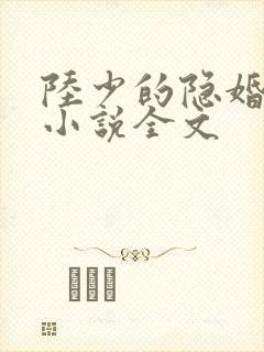 陆少的隐婚罪妻小说全文