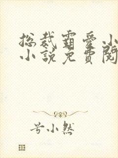 总裁霸爱小娇妻小说免费阅读封面