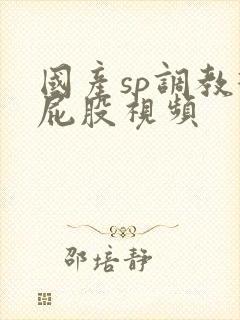 国产sp调教打屁股视频封面