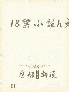 18禁小说h文