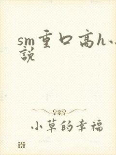 sm重口高h小说