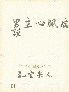 男主心脏病的小说