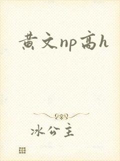 黄文np高h封面