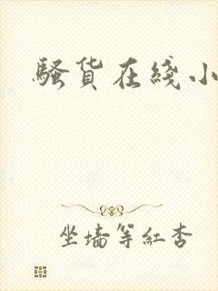 骚货在线小说封面