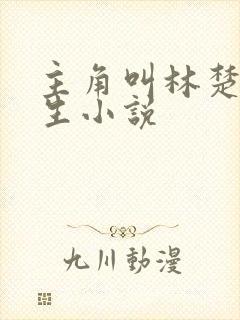 主角叫林楚的重生小说