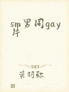 sm男同gay片