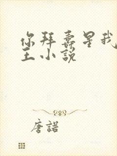 你拜寿星我拜阎王小说