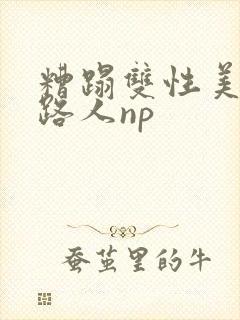 糟蹋双性美人多路人np