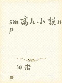 sm高h小说np