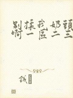 别揉我奶头嗯～啊一区二三区封面