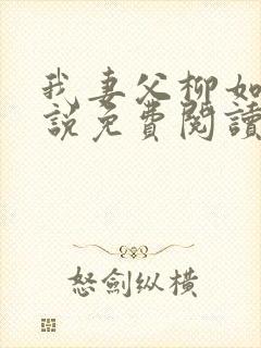 我妻父柳如烟小说免费阅读