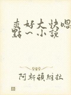 爽好大快嗯～轻点～小说