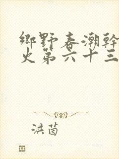 乡野春潮干柴烈火第六十三章封面