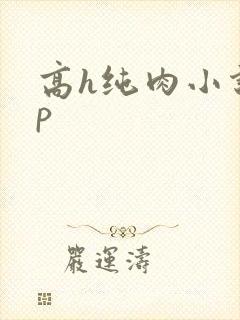 高h纯肉小说np