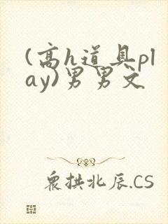 (高h道具play)男男文
