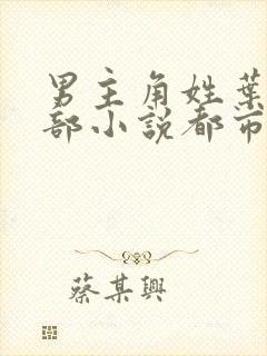 男主角姓叶的全部小说都市