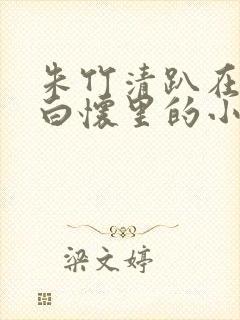 朱竹清趴在戴沐白怀里的小说封面