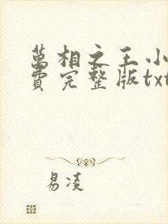 万相之王小说免费完整版txt封面