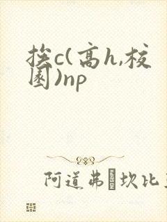 挨c(高h,校园)np