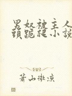 男奴被主人拽奶头跪爬小说