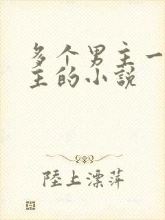 多个男主一个女主的小说