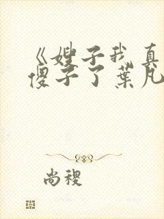 《嫂子我真不是傻子了叶凡》