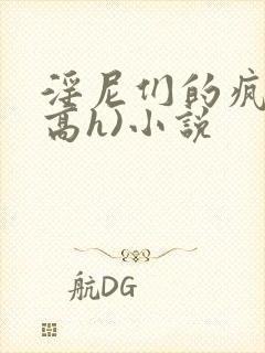 淫尼们的疯狂(高h)小说