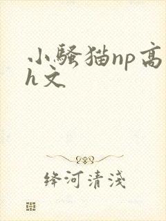 小骚猫np高辣h文