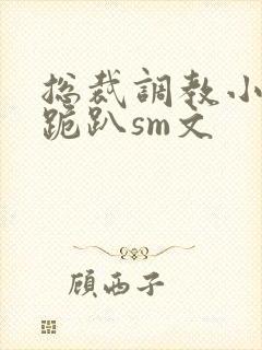 总裁调教小秘书跪趴sm文