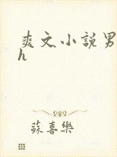 爽文小说男男高h