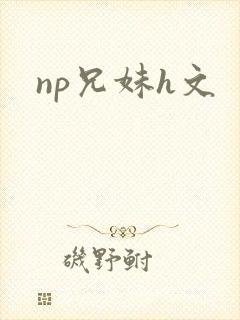 np兄妹h文