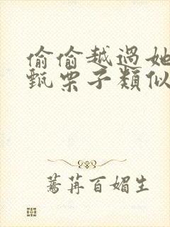 偷偷越过她by甄栗子类似小说封面