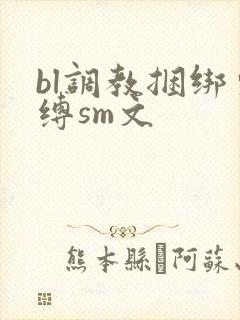bl调教捆绑束缚sm文封面
