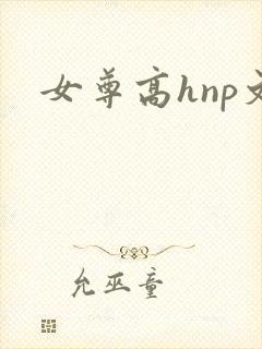 女尊高hnp文