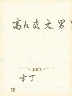 高h爽文男男封面