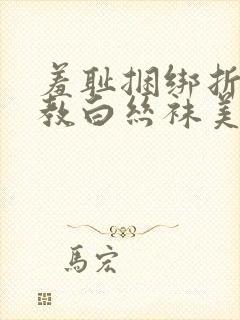 羞耻捆绑折磨调教白丝袜美女的小说