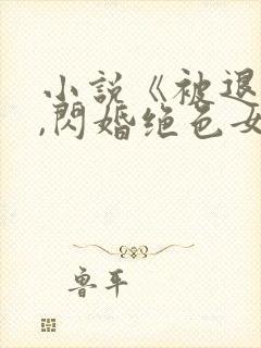 小说《被退婚后,闪婚绝色女总裁》