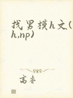 找男模h文(高h,np)封面