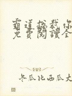 霸道总裁你好坏免费阅读全文