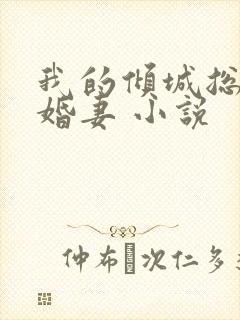 我的倾城总裁未婚妻 小说