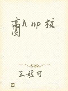 高h np 校园封面