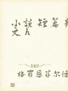 小说 短篇 辣文 h