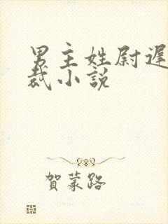 男主姓尉迟的总裁小说