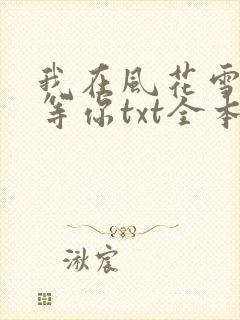 我在风花雪月里等你txt全本